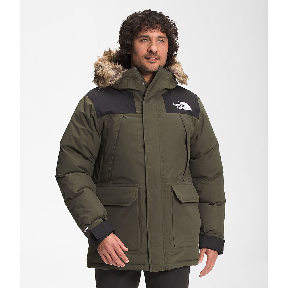 The North Face Parka Mens Australia - The North Face Mcmurdo Green Mcmurdo (VYR-624198)